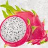 Fresh Dragon Fruit from Agrifood Link VN, Vietnam Agricultural Supplier