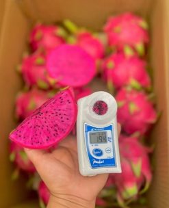 Brix Testing for Fresh Dragon Fruit by Agrifood Link VN
