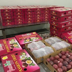 Packed Fresh Passion Fruit from Vietnam by Agrifood Link VN