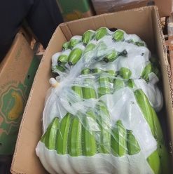 Export Fresh Banana Vietnam packed for shipment