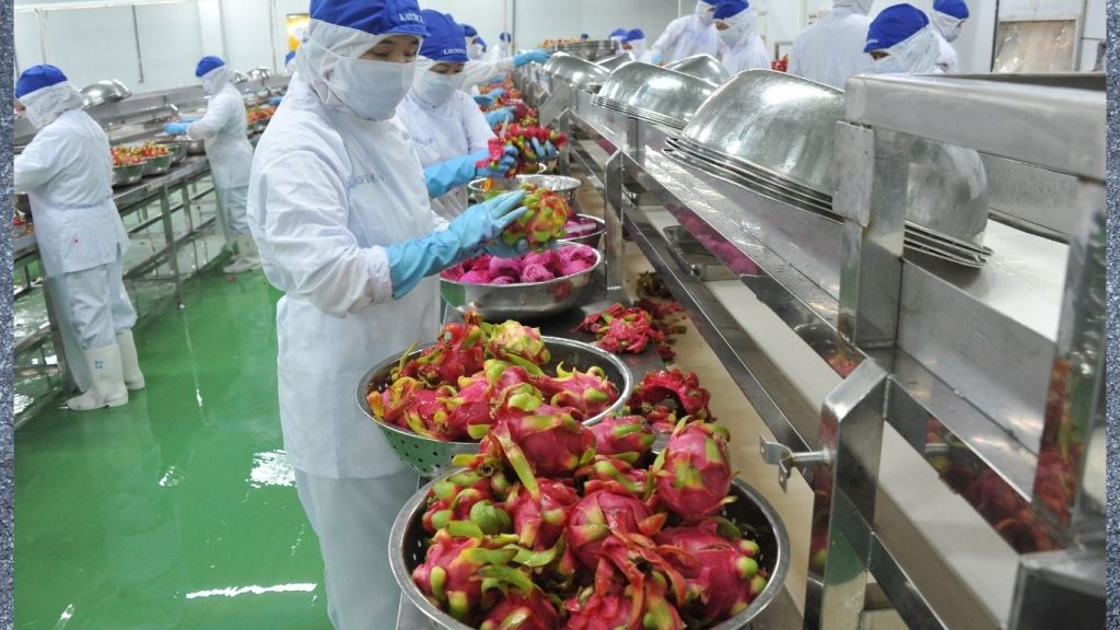 Top 10 Vietnamese Agrifood Products 2025 showcasing trusted exports like dragon fruit, coffee, and rice.