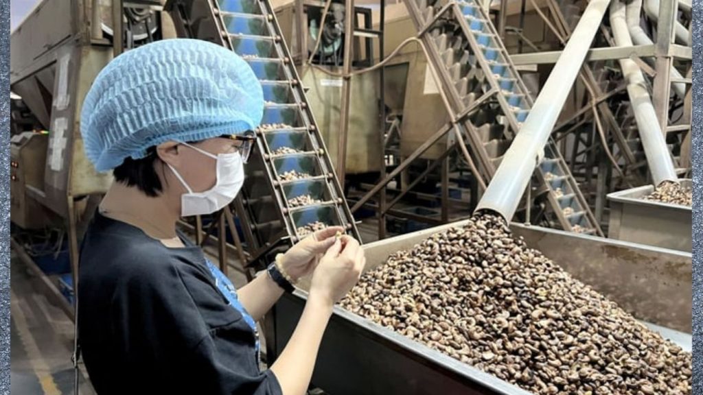 Pre-shipment inspection Vietnam for agricultural exports ensuring quality control