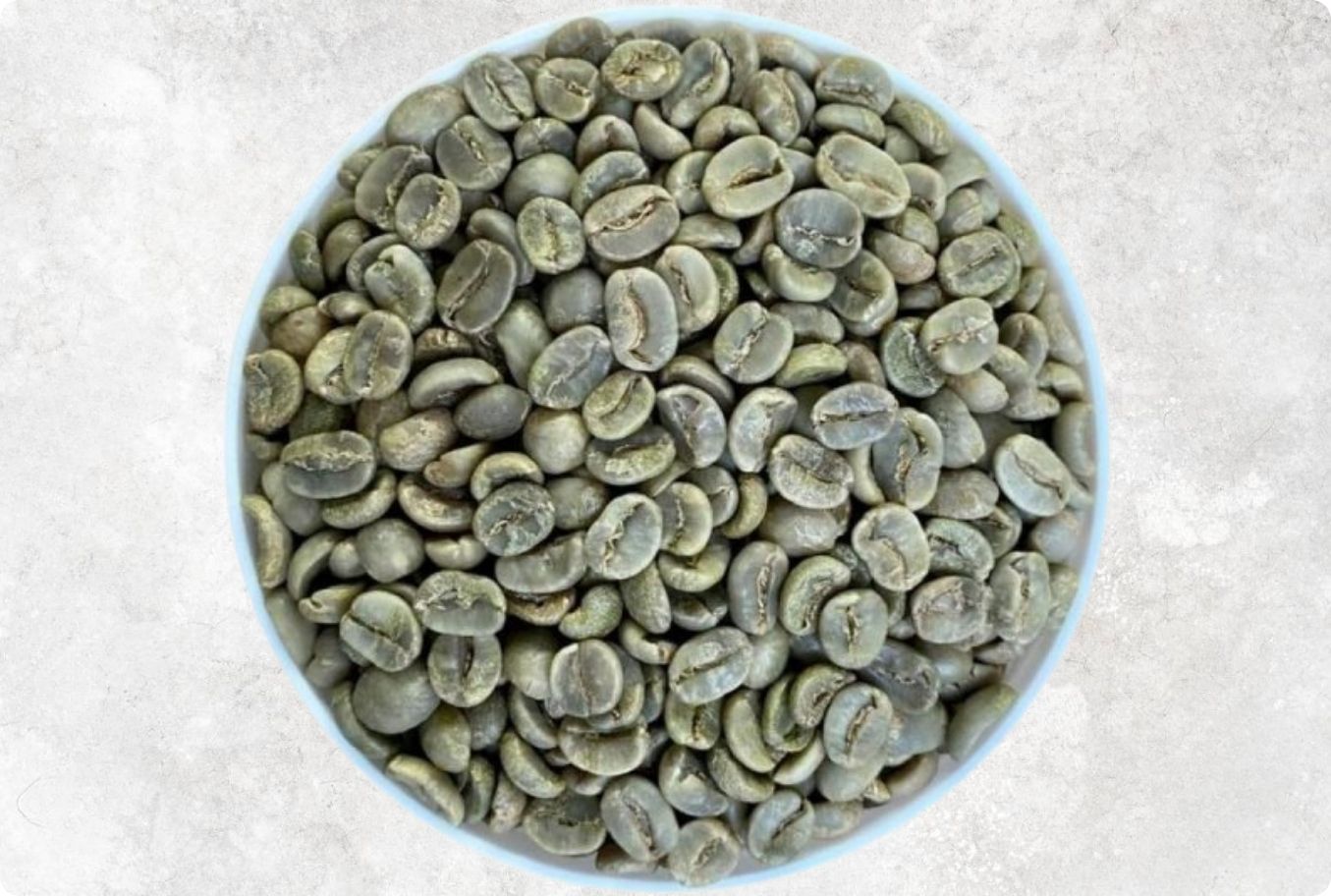 Premium Aroma Arabica Coffee Beans from Vietnam – Agrifood Link VN
