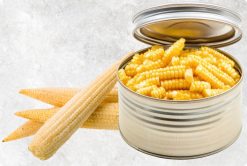 Crisp Tender Canned Baby Corn from Vietnam – Agrifood Link VN