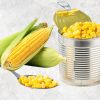 Premium Crunch Canned Sweet Corn from Vietnam – Agrifood Link VN