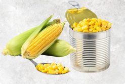 Premium Crunch Canned Sweet Corn from Vietnam – Agrifood Link VN