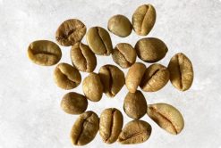 Bold Excelsa Coffee Beans from Vietnam – Agrifood Link VN