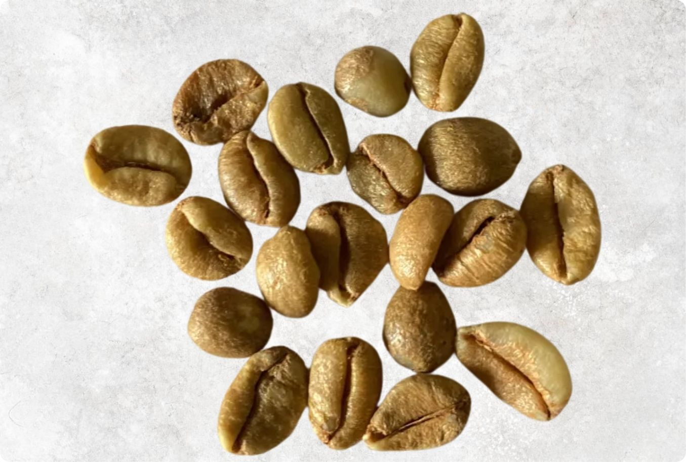 Bold Excelsa Coffee Beans from Vietnam – Agrifood Link VN