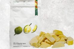 Crispy Exotic Freeze Dried Durian from Vietnam – Agrifood Link VN