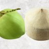 Pristine Fresh Young Coconut from Vietnam by Agrifood Link VN