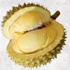 Supreme Fresh Durian from Vietnam by Agrifood Link VN
