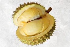 Supreme Fresh Durian from Vietnam by Agrifood Link VN