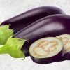 Superior Fresh Eggplant from Vietnam by Agrifood Link VN