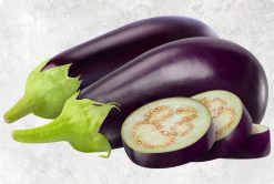 Superior Fresh Eggplant from Vietnam by Agrifood Link VN