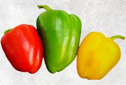 Vibrant Fresh Pepper from Vietnam by Agrifood Link VN