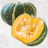 Prime Fresh Japanese Pumpkin from Vietnam by Agrifood Link VN