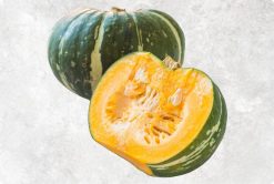 Prime Fresh Japanese Pumpkin from Vietnam by Agrifood Link VN
