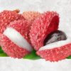 Exquisite Fresh Lychee from Vietnam by Agrifood Link VN