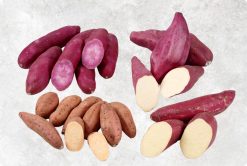 Prime Fresh Sweet Potato from Vietnam by Agrifood Link VN