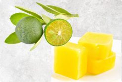 Pure Frozen Calamansi IQF from Vietnam – Agrifood Link VN