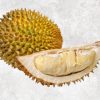 Exceptional Frozen Durian from Vietnam by Agrifood Link VN