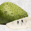 Pure Creamy Frozen Soursop from Vietnam – Agrifood Link VN