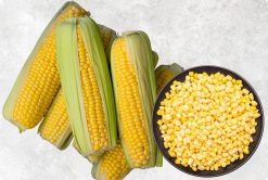 Golden Frozen Sweet Corn from Vietnam – Agrifood Link VN