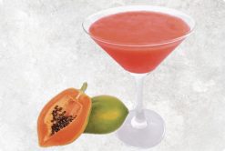 Vibrant Papaya NFC Juice from Vietnam – Agrifood Link VN