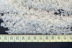 OM5451 Rice Size Inspection from Vietnam – Agrifood Link VN