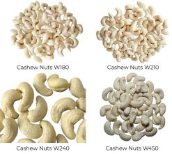 Cashew Nuts Raw Kernel Size Comparison 1 – Vietnam Agrifood Link VN