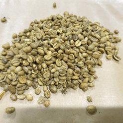 Excelsa Coffee Beans Before Packing – Vietnam Agrifood Link VN