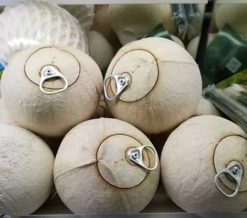 Fresh Young Coconut Before Packing from Vietnam – Agrifood Link VN