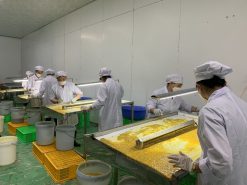 Frozen Passion Fruit Production Team Vietnam – Agrifood Link VN