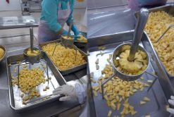 Frozen Pineapple Production by Workers in Vietnam – Agrifood Link VN