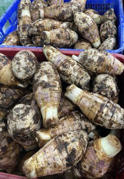 Frozen Taro Raw Material from Vietnam – Agrifood Link VN