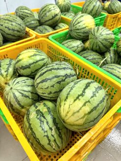 Frozen Water Melon Raw Material from Vietnam – Agrifood Link VN
