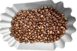 Roasted Excelsa Coffee Beans Before Packing – Vietnam Agrifood Link VN