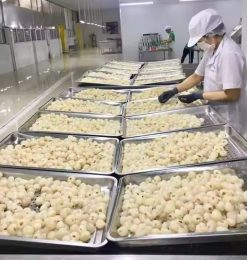 Canned Lychee Production