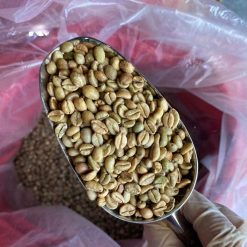 Excelsa Coffee Beans Packing Process – Vietnam Agrifood Link VN