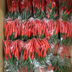 Fresh Chili After Packing from Vietnam – Agrifood Link VN