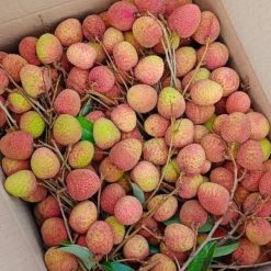 Fresh Lychee Post-Packing from Vietnam – Agrifood Link VN