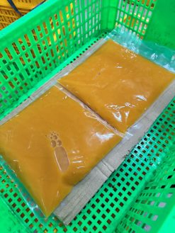 Frozen Passion Fruit Puree Before IQF Stage 1 – Vietnam Agrifood Link VN