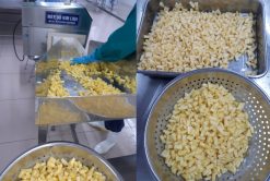 Frozen Pineapple After IQF from Vietnam – Agrifood Link VN
