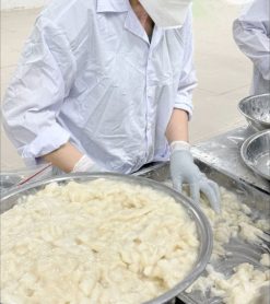 Frozen Soursop Production Team in Vietnam – Agrifood Link VN