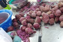 Frozen Sweet Potato Raw Material Vietnam – Agrifood Link VN