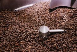 Roasted Arabica Coffee Beans Roasting Process – Vietnam Agrifood Link VN