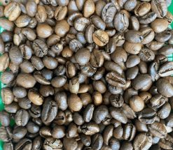 Roasted Excelsa Coffee Beans Packing Process – Vietnam Agrifood Link VN