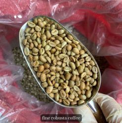 Specialty Coffee Packing Process in Vietnam – Agrifood Link VN