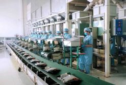 Arabica Coffee Beans Packing Process in Vietnam – Agrifood Link VN