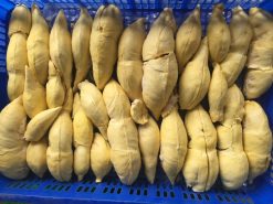 Frozen Durian Before Packing from Vietnam – Agrifood Link VN